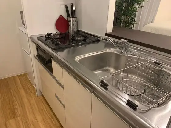 Tek Büyük veya İki Ayrı Yataklı Oda (102)