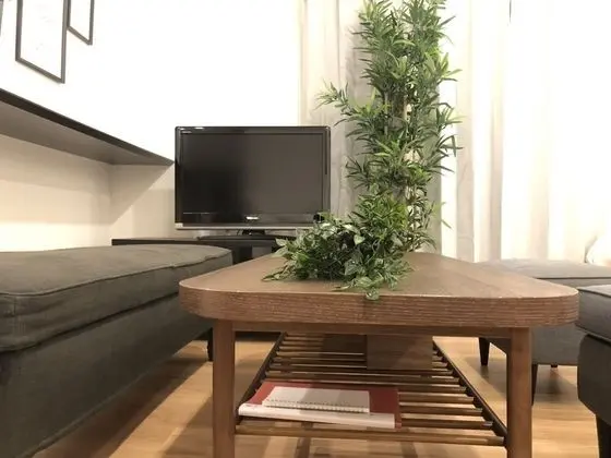 Tek Büyük veya İki Ayrı Yataklı Oda (102)