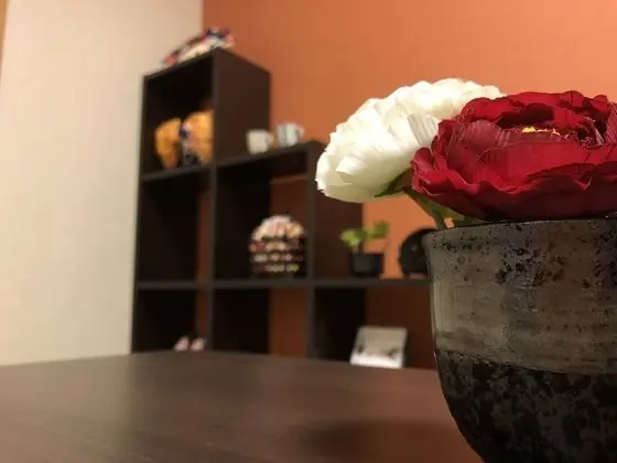 Apart Daire, Sigara İçilmez (Japanese Western Style, 203)