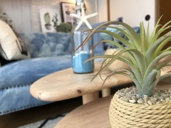 Oda ((102), Japanese Western Style)