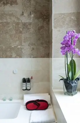 Deluxe Tek Büyük veya İki Ayrı Yataklı Oda