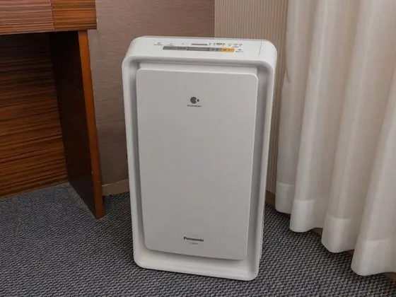 Tek Büyük Yataklı Oda, 1 Büyük (Queen) Boy Yatak, Sigara İçilebilir