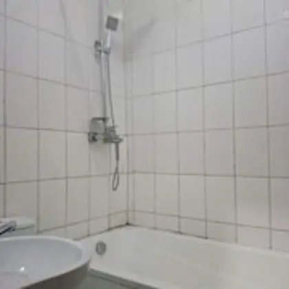 Süit