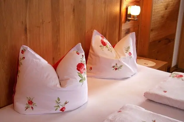 Tek Büyük Yataklı Oda (Hochzillertal)