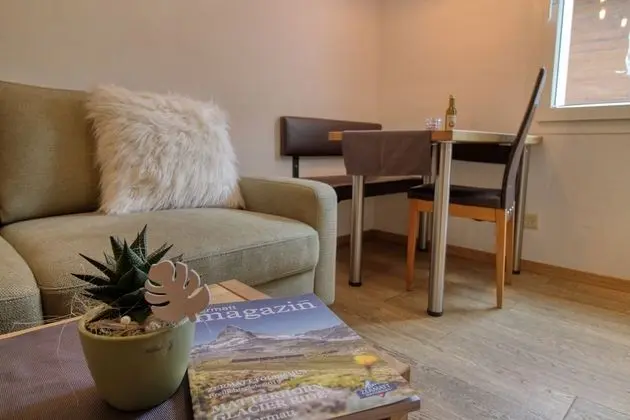 Apart Daire, 1 Yatak Odası, Dağ Manzaralı (2. Floor)