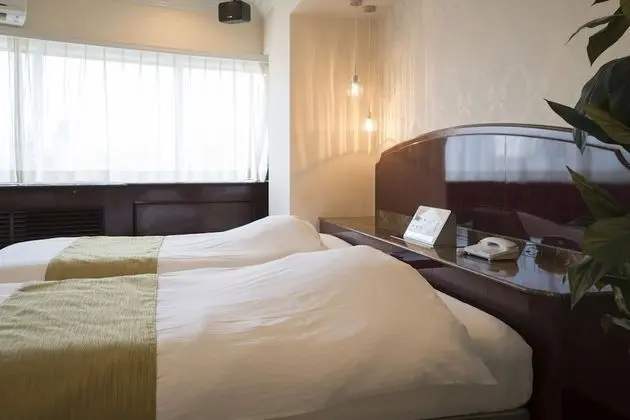 Deluxe İki Ayrı Yataklı Oda, Sigara İçilmez