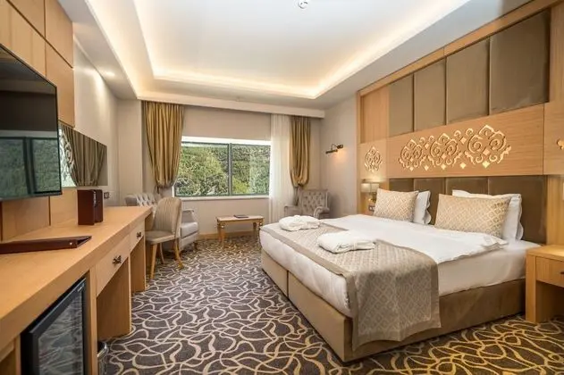 Dlx_Room_Kuvet