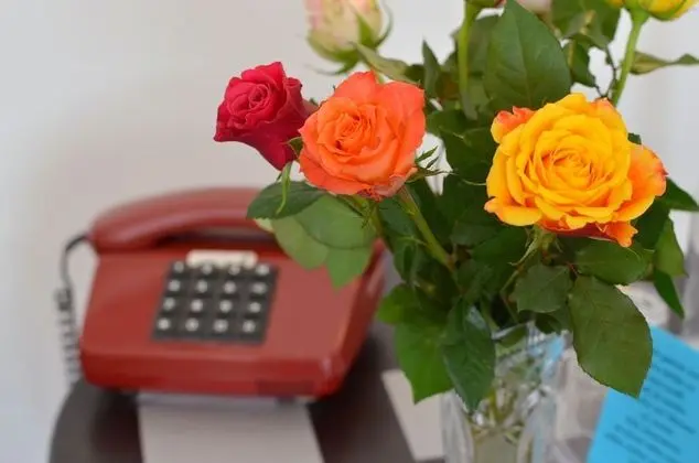 Comfort Tek Kişilik Oda, 1 Tek Kişilik XL Yatak