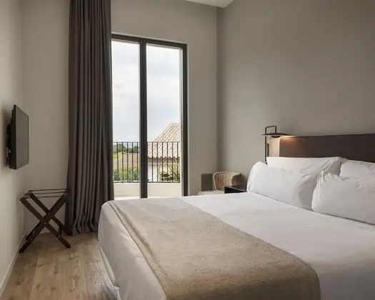 Superior Tek Büyük Yataklı Oda, Teras