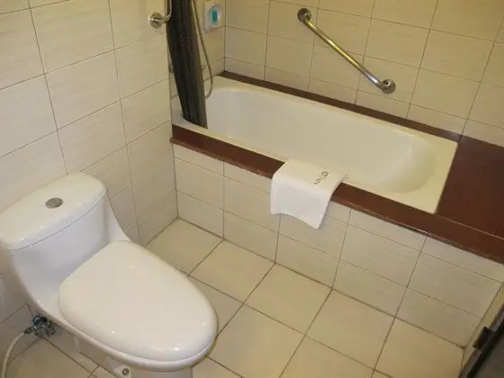 Çatı Katı (Loft) (Suite)