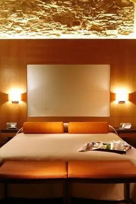 Superior Tek Büyük Yataklı Oda