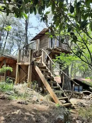 Bungalov