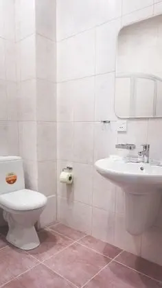 Süit