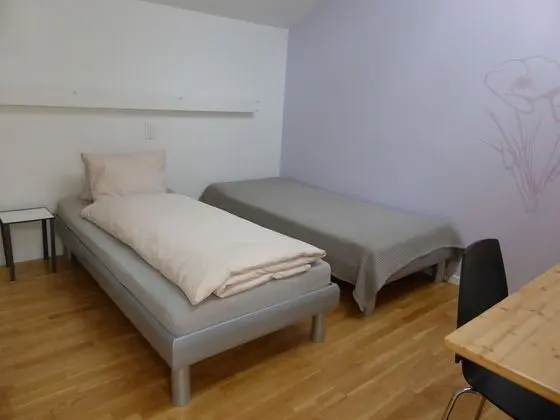 Basic Tek Büyük veya İki Ayrı Yataklı Oda, Banyolu/Duşlu