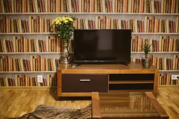 Comfort Apart Daire, 1 Büyük (Queen) Boy Yatak ve Çekyat, Sigara İçilmez