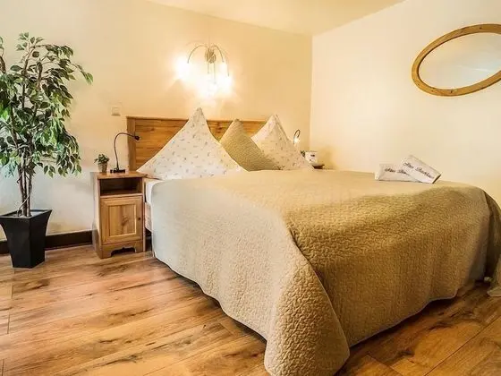 Tek Büyük Yataklı Oda, Banyolu/Duşlu