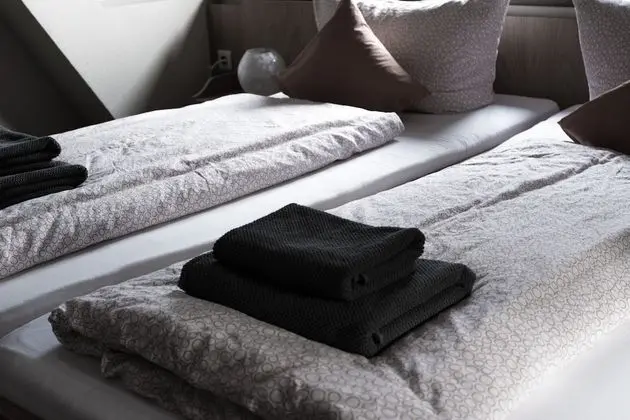 Basic Tek Büyük Yataklı Oda, 2 Tek Kişilik Yatak, Dağ Manzaralı