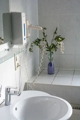 Basic Tek Büyük Yataklı Oda, 2 Tek Kişilik Yatak, Dağ Manzaralı