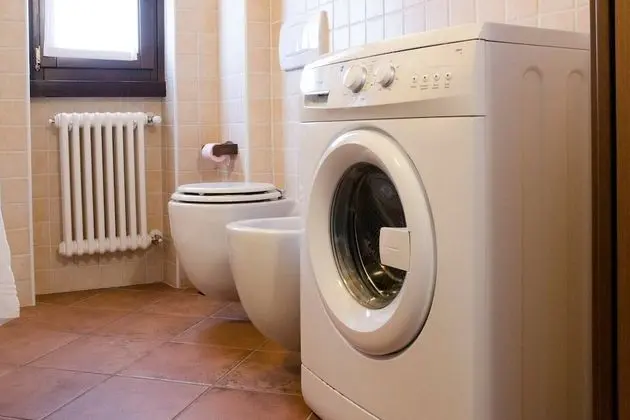 Apart Daire, Göl Manzaralı (1 Bedroom)