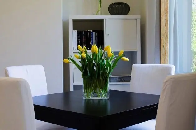 Apart Daire, 1 Yatak Odası, Göl Manzaralı