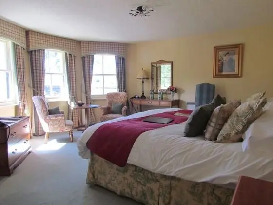 Superior Tek Büyük Yataklı Oda