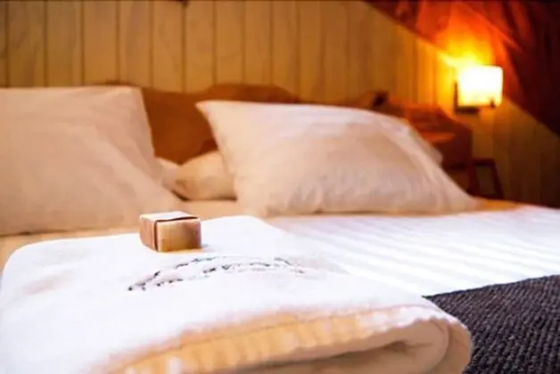 Superior Tek Büyük Yataklı Oda, 1 En Büyük (King) Boy Yatak