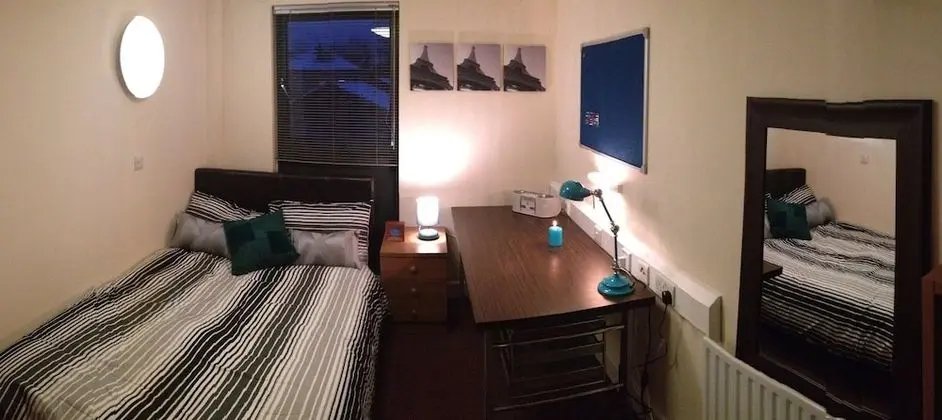 Tek Büyük Yataklı Oda, Banyolu/Duşlu (with shower)