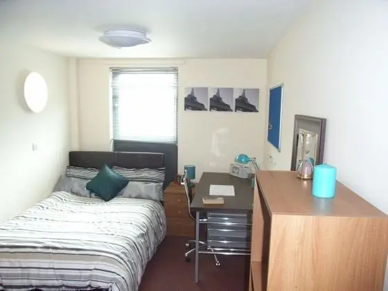 Tek Büyük Yataklı Oda, Banyolu/Duşlu (with shower)