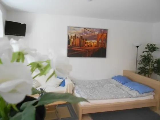 Basic Stüdyo