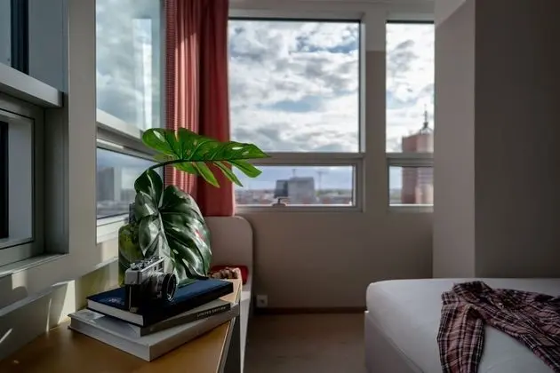 Superior Tek Büyük Yataklı Oda, Şehir Manzaralı