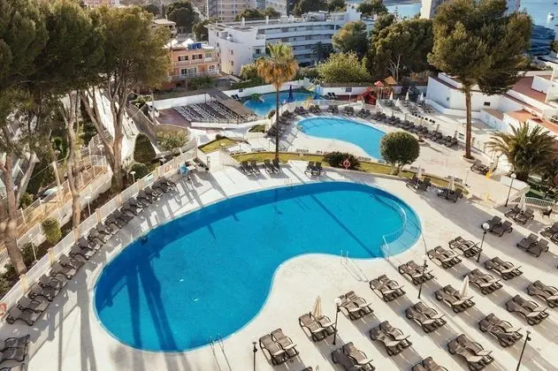 Tek Büyük Yataklı Oda, Havuz Manzaralı (1 adult)