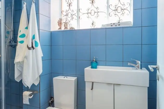 Apart Daire, 1 Yatak Odası, Teras