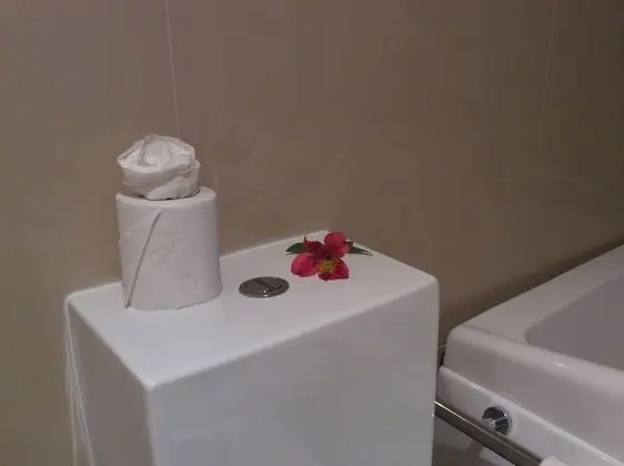 Superior Tek Büyük veya İki Ayrı Yataklı Oda, Sıcak Su Küveti