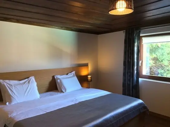 Tek Büyük veya İki Ayrı Yataklı Oda, Havuz Manzaralı