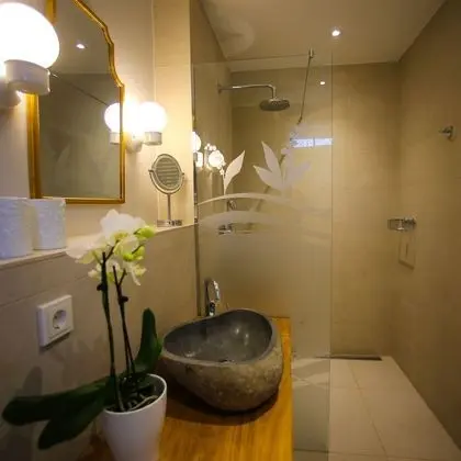 Superior Tek Büyük Yataklı Oda (Maiglöckchen)