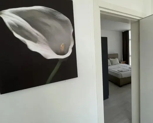 Suite Oda