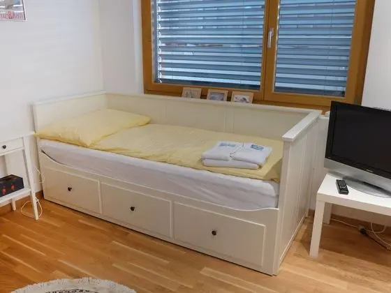 Ev