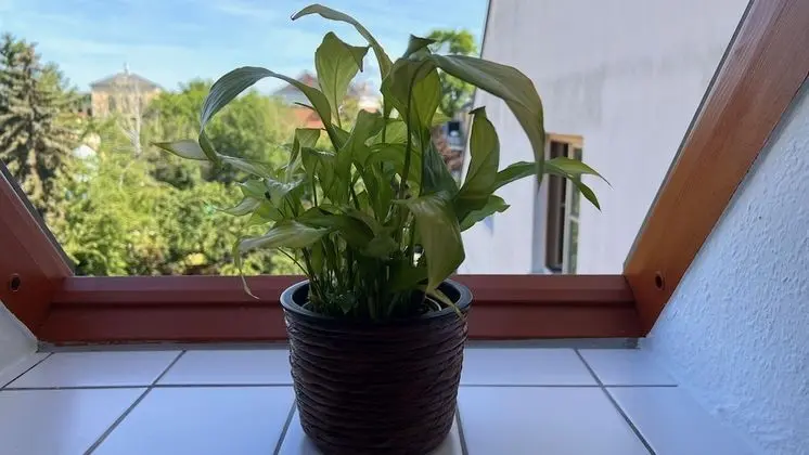 Apart Daire, Özel Banyo, Şehir Manzaralı (Am Jacobsweg Wohnung 2)