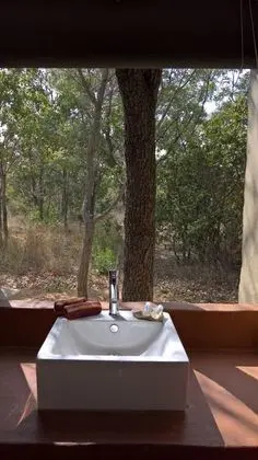 Çadır (Civet Safari)