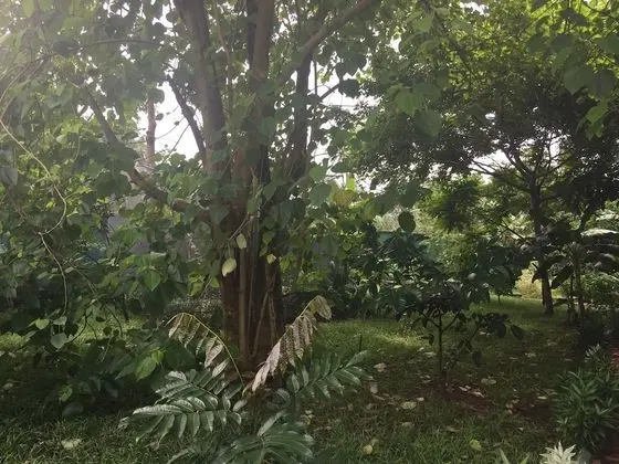 Family Villa