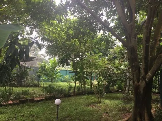 Family Villa