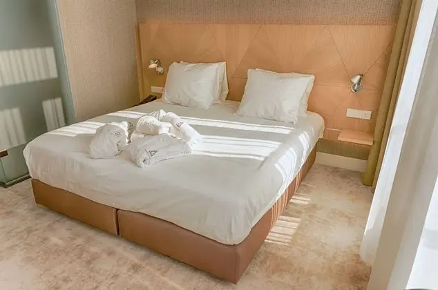 Superior Tek Büyük Yataklı Oda, 1 Çift Kişilik Yatak