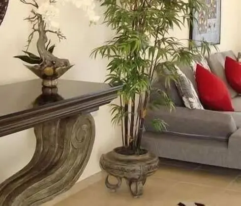 Superior Villa, 3 Yatak Odası, Havuz Manzaralı