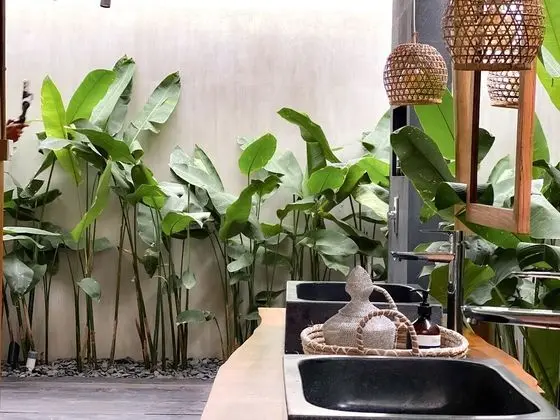 Villa, 1 Yatak Odası