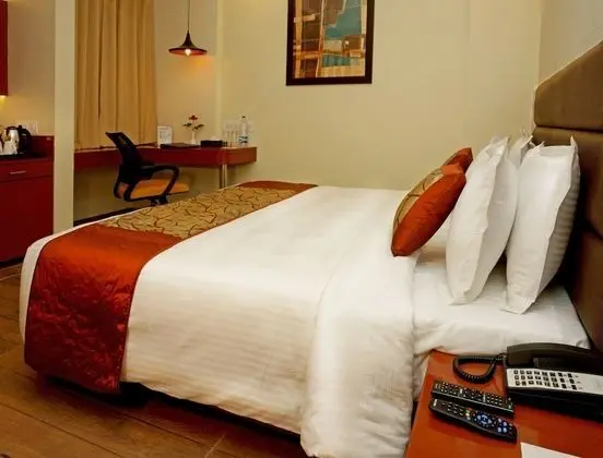 Luxury Tek Büyük Yataklı Oda, Buzdolabı, Şehir Manzaralı