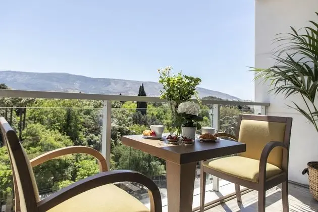 Deluxe Tek Büyük veya İki Ayrı Yataklı Oda