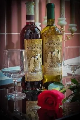 Villa, 3 Yatak Odası