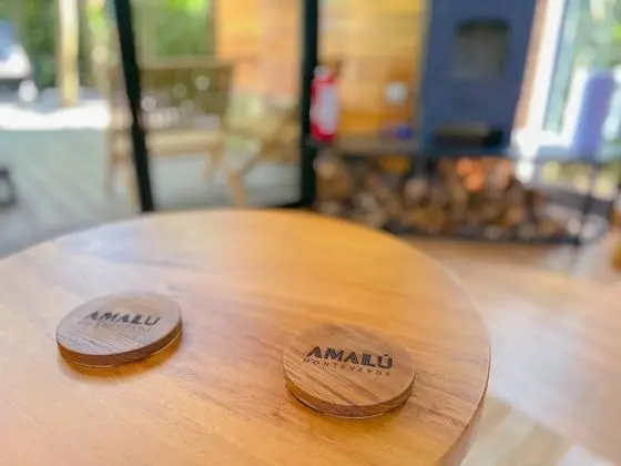 Tiny House in the Forest, Hot tub, Fireplace, Forest View