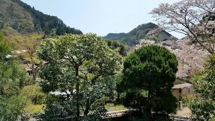 Traditional İki Ayrı Yataklı Oda, Ortak Banyo