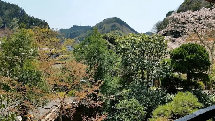 Traditional Oda, Ortak Banyo